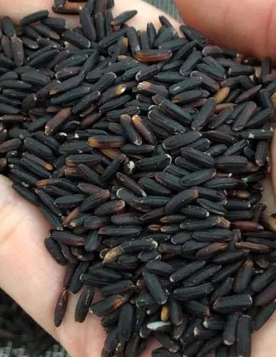 Indian Soft Natural Black Rice, For Food, Cooking, Packaging Type : Jute Bags