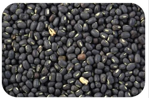 Granules Black Urad Dal, For Cooking, Grade Standard : Food Grade