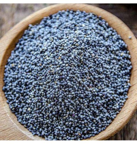 Natural Blue Poppy Seeds, Packaging Type : Jute Bags