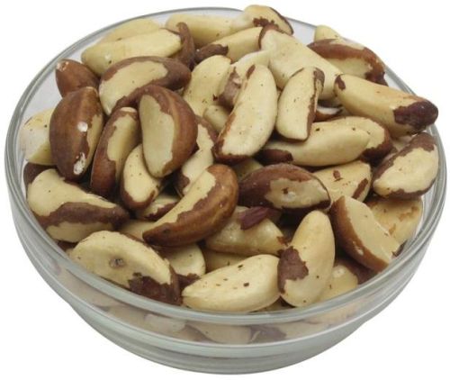Brazil Nuts, For Oil, Human Consumption, Feature : High In Protein