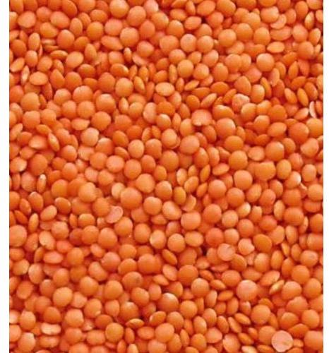 Natural Red Masoor Dal, For Cooking, Feature : Nutritious