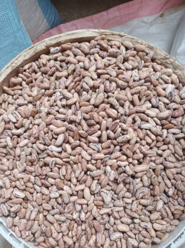 White Natural Sugar Beans, For Cooking, Grade Standard : Food Grade