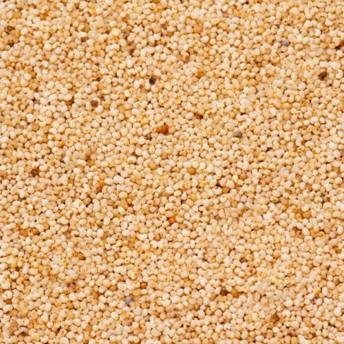 Natural White Poppy Seeds, Packaging Size : 10 Kg