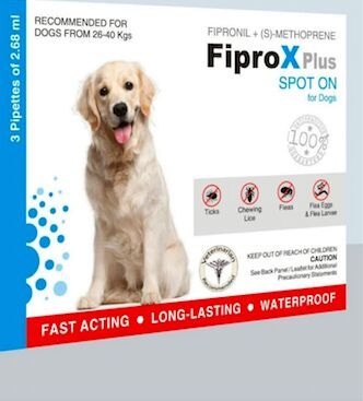 White Solid Fiprox Spoton Dog Medicine, Packaging Type : Plastic Bottle