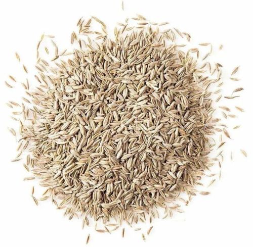 Raw Natural White Cumin Seeds For Cooking