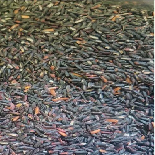 Solid Organic Black Rice, For Human Consumption, Cooking