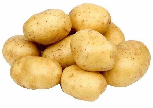 Brown Fresh Potato, For Cooking, Packaging Type : Jute Bag