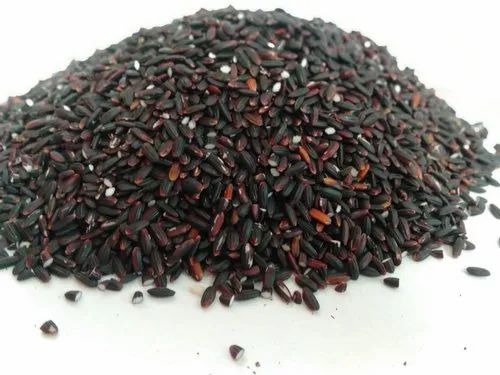 Solid Natural Kala Bhat Black Rice, For Cooking, Purity : 99.9%