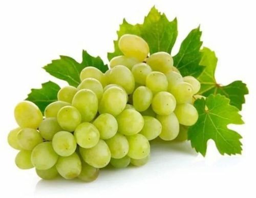 Natural Fresh Green Grapes For Human Consumption