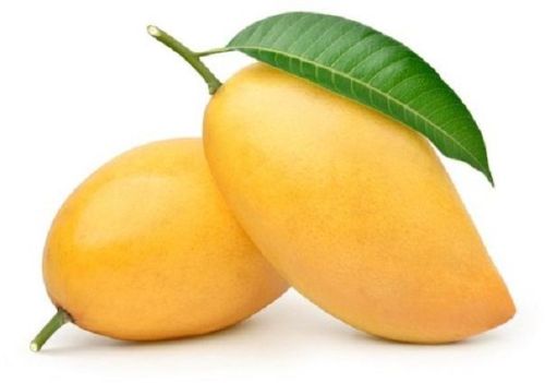 Yellow Natural Fresh Mango, For Human Consumption, Packaging Type : Paper Box