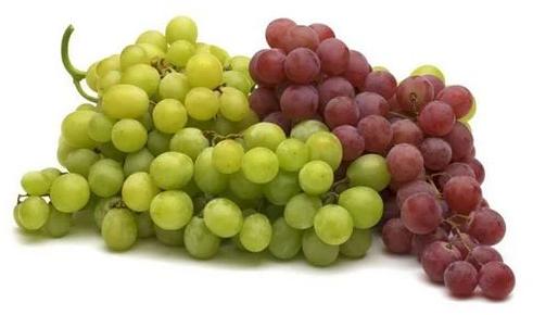 Natural Fresh Seedless Grapes For Human Consumption