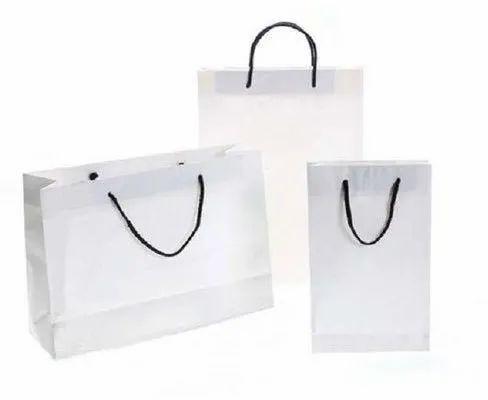 White Plain Paper Bag, For Shopping, Technics : Machine Made