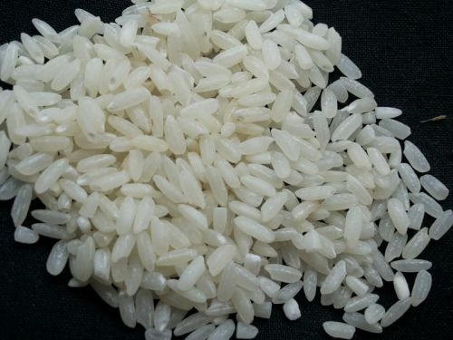 White Short Grain Non Basmati Rice, For Cooking, Shelf Life : 6 Months