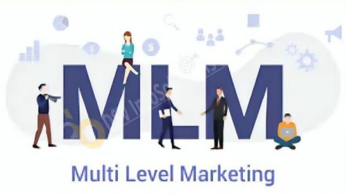 Mlm Software Solution