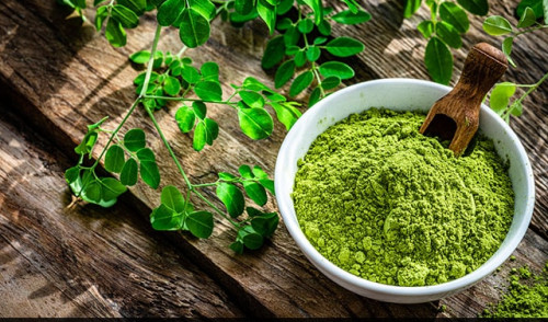 Organic Moringa Powder for Medicinal Use