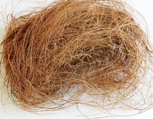 Coir Brown Coco Fiber, For Dusting Wiper, Mats, Ropes, Packaging Type : Carton