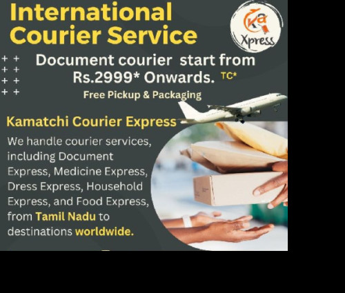 INTERNATIONAL DOCUMENT COURIER SERVICE