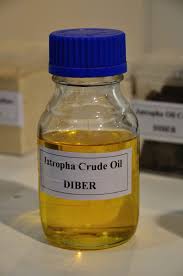 Jatropha Oil, Purity : 99.9%