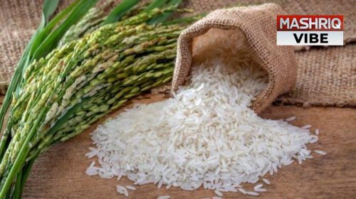 Soft Organic Rice for Human Consumption, Food, Cooking