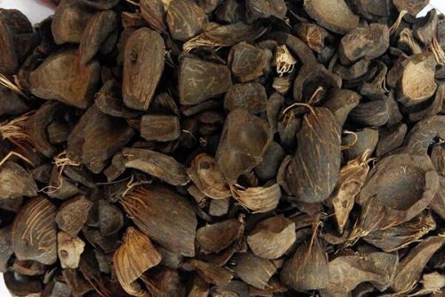 Palm Kernel Shell, Form : Solid, Certification : Iso Certified