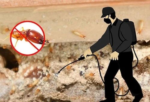 Termite Pest Control Service