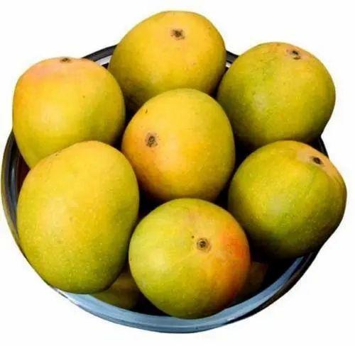 Yellow Organic Alphonso Mango, For Juice Making, Direct Consumption, Packaging Size : 20 Kg