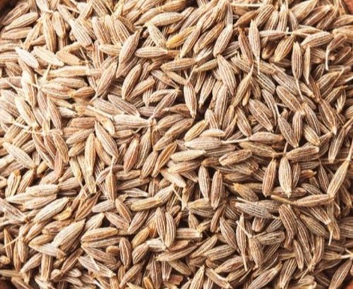 White Cumin Seeds, Style : Dried