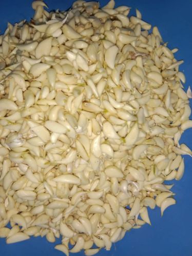 Chopped Peeled Garlic, For Hotels, Spice, Cooking, Food, Packaging Size : 5 Kg