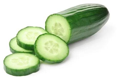 Juicy Fresh Green Cucumber, Size : Medium