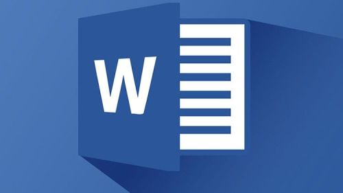 MS Word Basic and Advanced Training Service