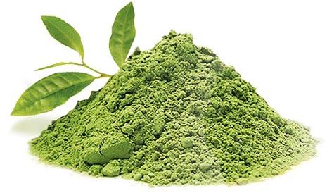 Green Tea Powder, For Human Consumption, Shelf Life : 6Months