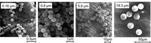 Melamine Resin Polymer Particles CD Bioparticles, Color : Metallic