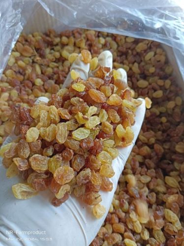Malayar AAA Raisins, Certification : FSSAI