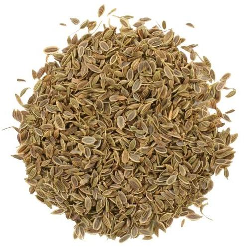 Light Brown Natural Dill Seeds, For Cooking, Packaging Type : Plastic Packet, Paper Box