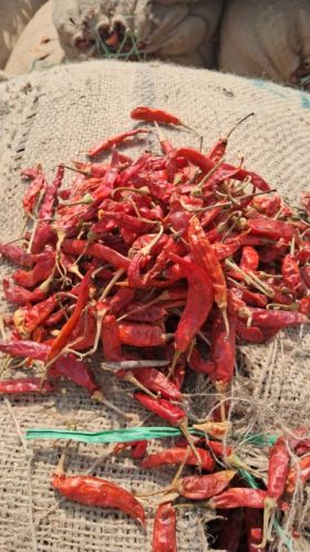 Teja Red Chilli, Packaging Type : 50