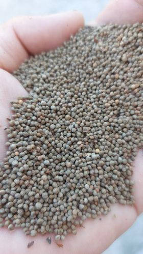 Pale Yellow Liquid Perilla Seed, For Medicine, Packaging Type : Plastic Bottels