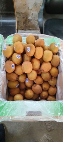 Natural Kiwi Fruit, For Human Consumption, Packaging Type : Plastic Box