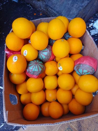 Citrus Sadat Natural Valancia Orange Fruit, For Food Additives, Style : Fresh