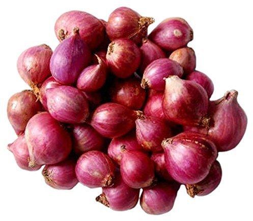 Fresh Sambar Onion, For Human Consumption, Packaging Size : 5-10 Kg