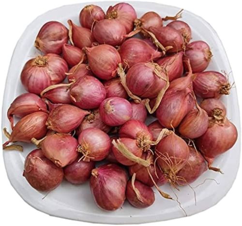 Pink Natural Fresh Shallot Onion, For Human Consumption, Shelf Life : 15-20 Days