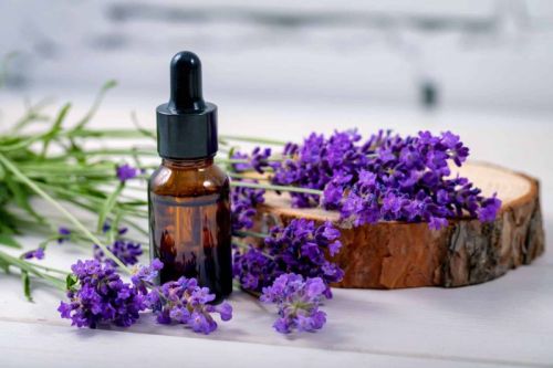 Pale Yellow Liquid Lavender Essential Oil, For Cosmetics, Feature : Highly Effective, Great Smell