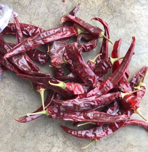 Wonder Hot Dry Red Chilli, For Cooking, Grade Standard : Food Grade