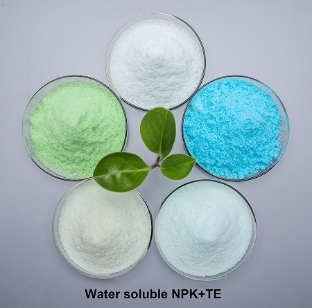 NPK Crystalline Powder for Fertilizers Industry