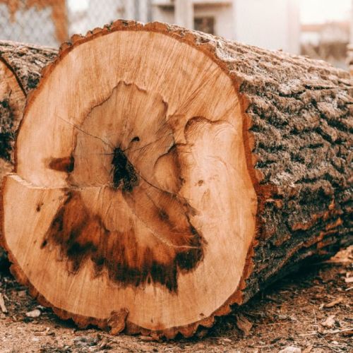 Oak Wood, Packaging Type : Brown