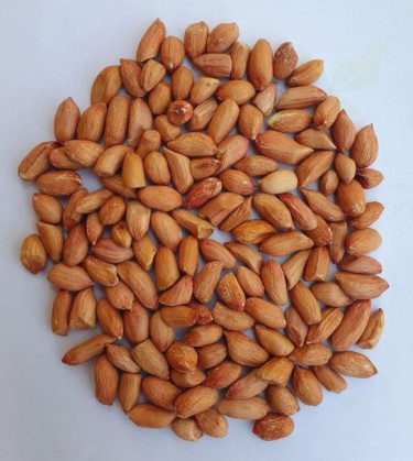 Common Whole Peanut Seeds, For Agriculture, Cooking, Food, Grade : 50/60