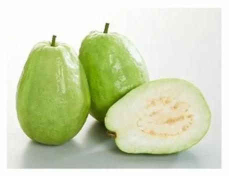 Green Natural Fresh Guava, For Human Consumption, Packaging Size : 25kg