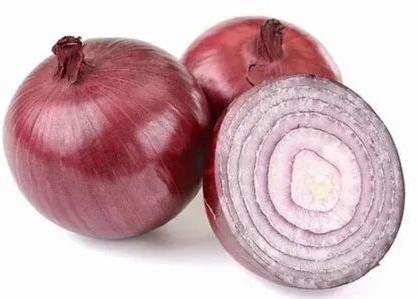 Fresh Onion, Packaging Size : 50 Kg