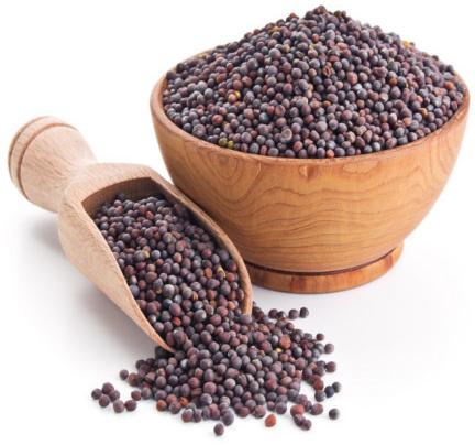 Mustard Seeds, For Spices, Cooking, Packaging Size : 25 Kg