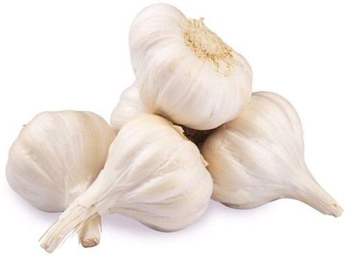 Raw Garlic, For Oil Extraction, Cooking, Packaging Size : 25-50 Kg