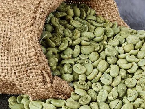 Green Robusta Parchment Bulk Coffee Beans, Packaging Size : 50kg